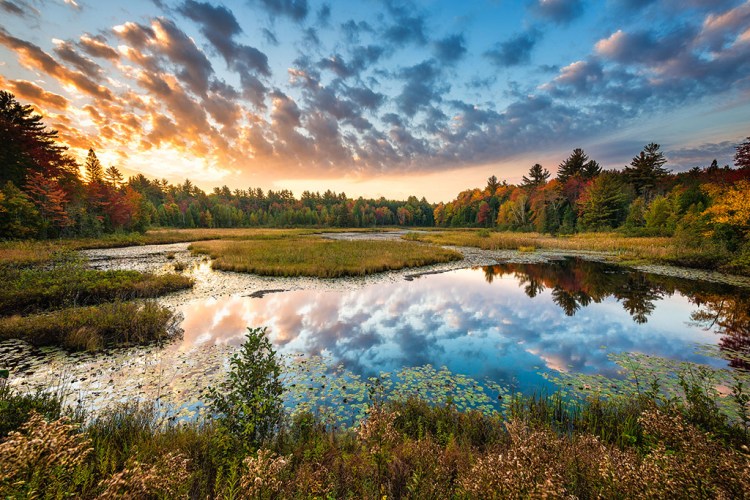 Marsh Sunrise - Jim Kuchler, Glennie (1st Place)